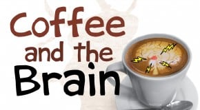 How Coffee Affects Your Brain